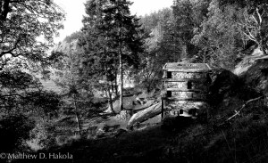 Lime Kiln State Park