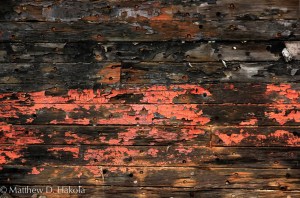 Anacortes Ship Texture